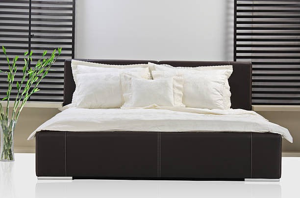 Black ottoman bed with white bedding and pillows, positioned in a room with black blinds and a green plant.