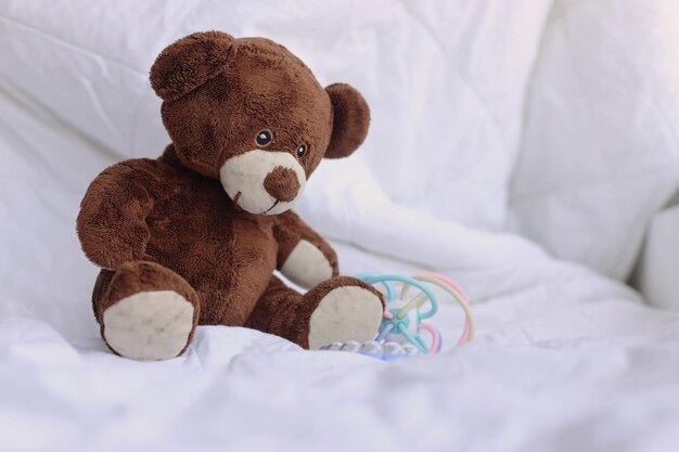 A brown teddy bed with colorful plastic rings nearby.