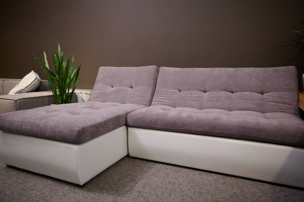 U-shaped  sofa bed in a room with dark brown walls and a potted plant.